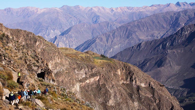 Colca Canyon Trek Guide 