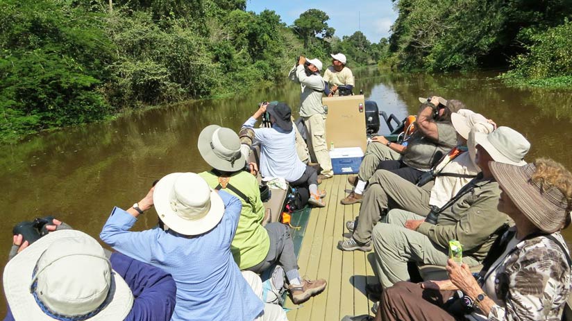 All about Amazon tours in Peru | Machu Travel Peru