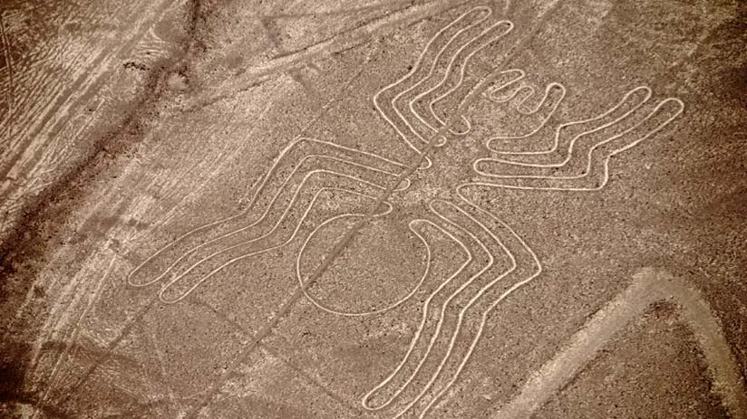 january nazca