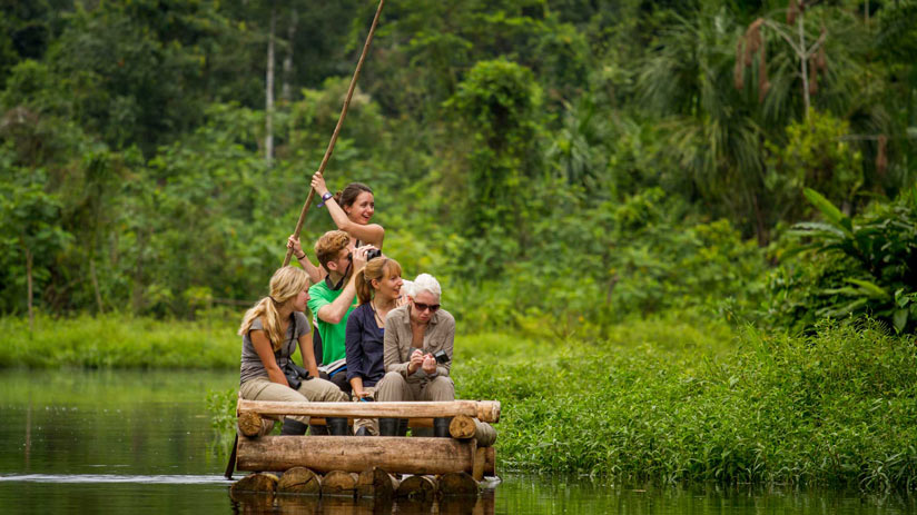 amazon rainforest tour peru