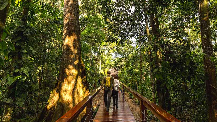 Tambopata Lodge in your Amazon Tour | Blog Machu Travel Peru