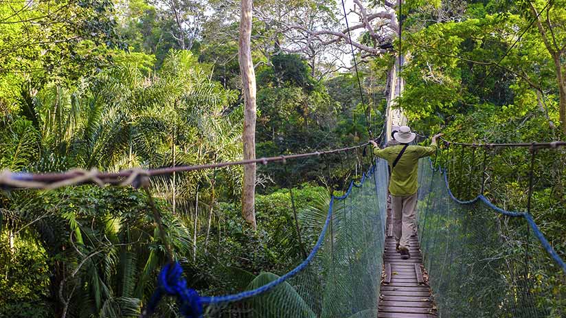 Tambopata National Reserve | Blog Machu Travel Peru