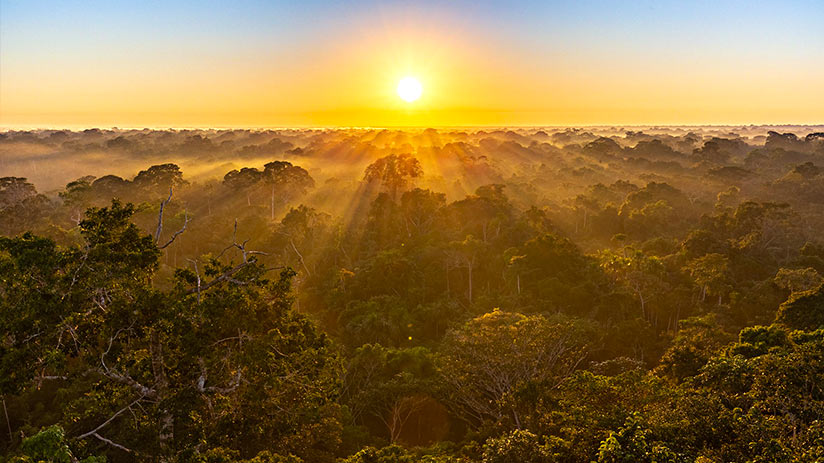 Tambopata National Reserve 