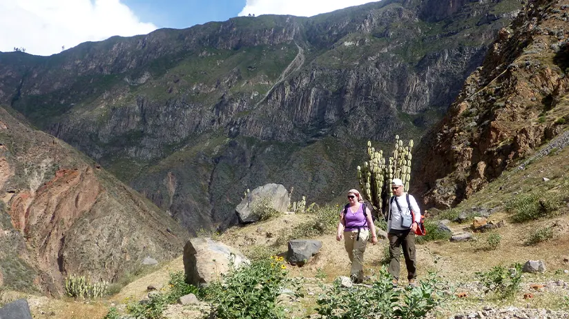 colca canyon trekking