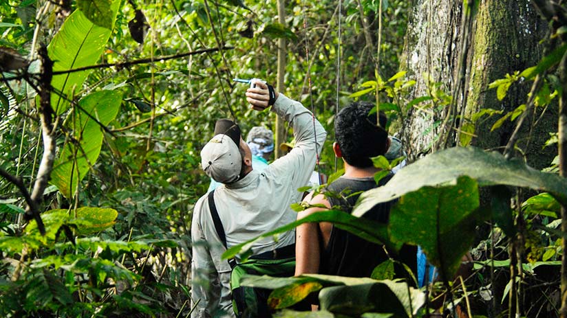 rainforest tour from cusco