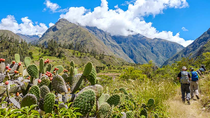 Classic Inca Trail To Machu Picchu | Blog Machu Travel Peru