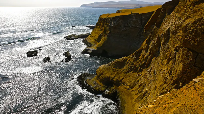 Peru desert coast and Paracas Reserve