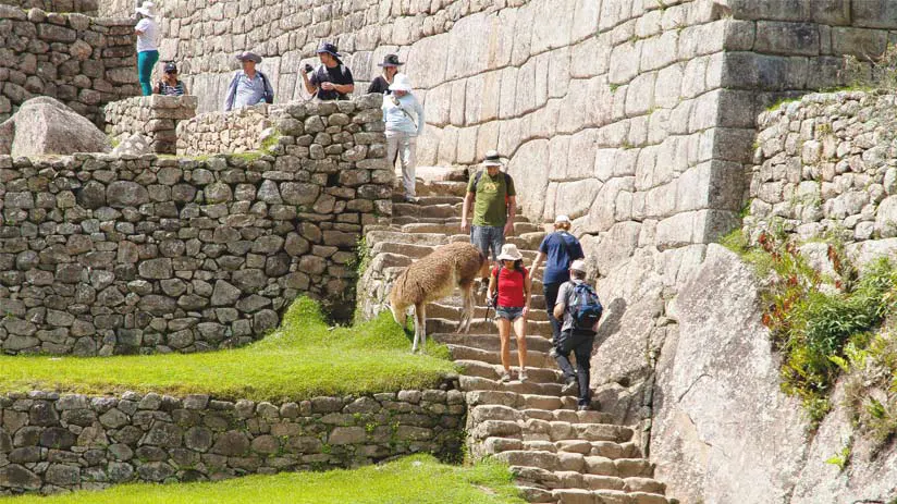 machu picchu honeymoon