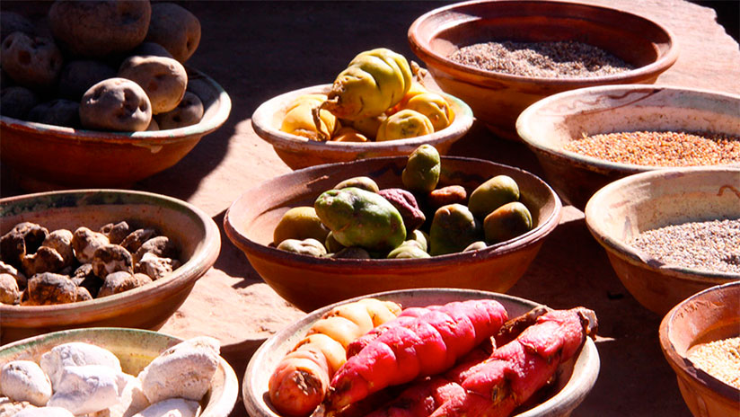 https://www.machutravelperu.com/blog/wp-content/uploads/2021/05/peruvian-potatoes-varieties.jpg