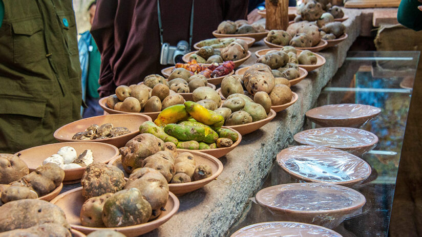 A Guide To Peruvian Potatoes | Blog Machu Travel Peru