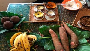 Ayahuasca In Peru: What Is, Retreats, Experience, Benefits, And Side ...