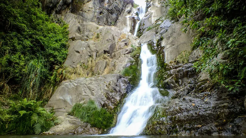 waterfalls portrait