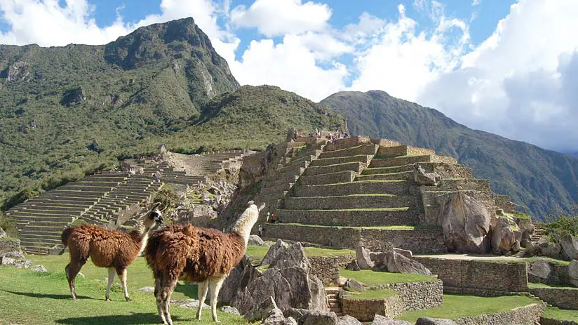 agricultural terracing machu picchu pictures