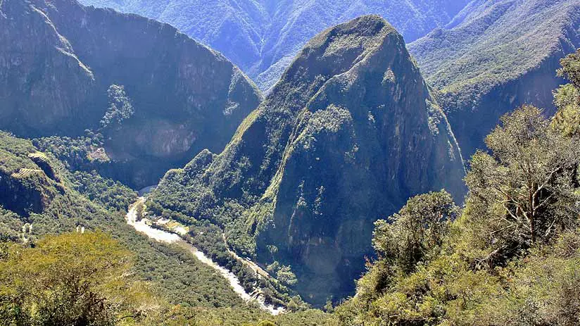 jungle machu picchu pictures