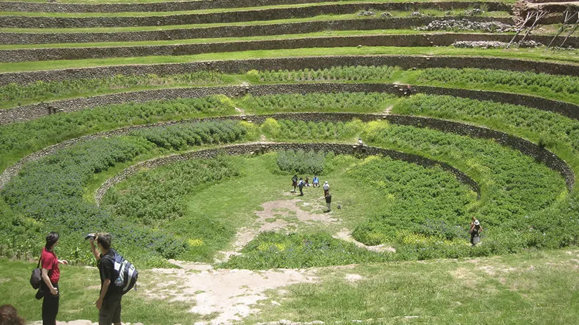 moray terraces