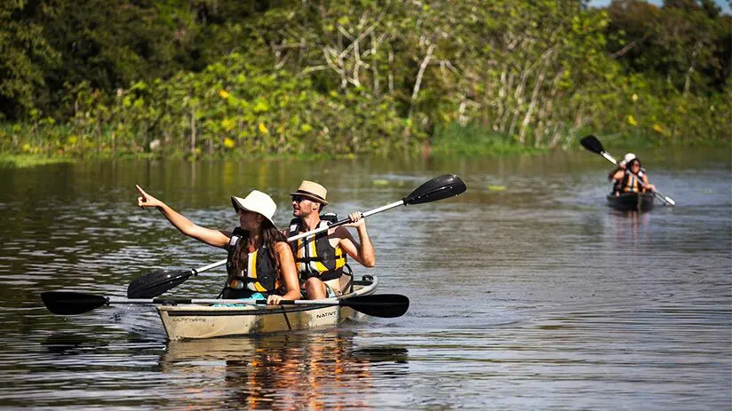 things to do in iquitos