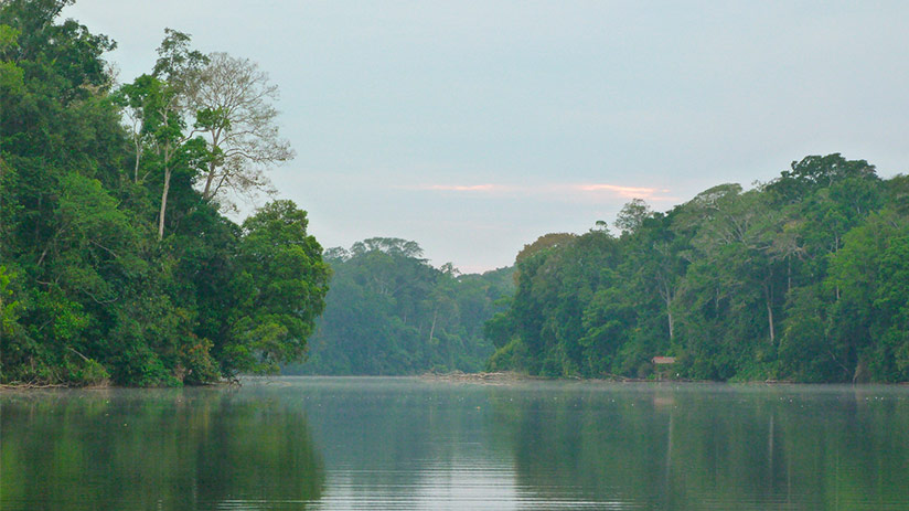 Manu National Park in Peru | Blog Machu Travel Peru