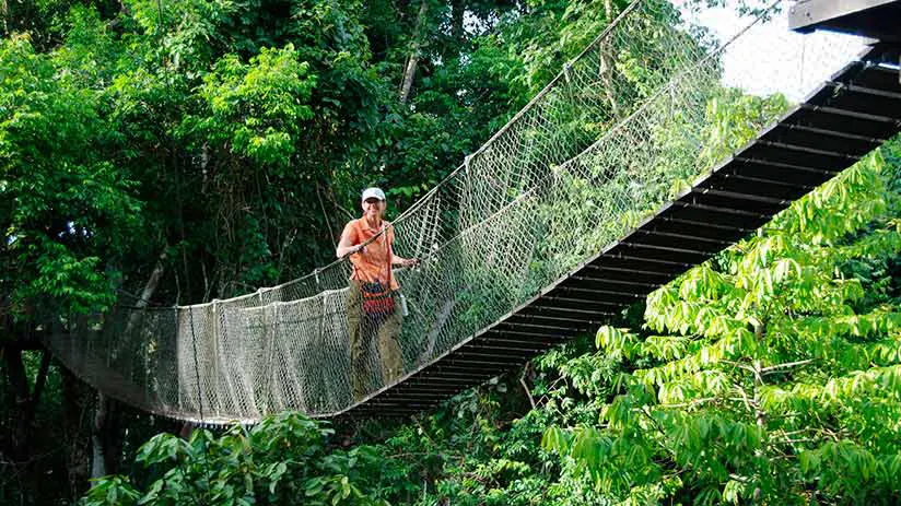 canopy in manu