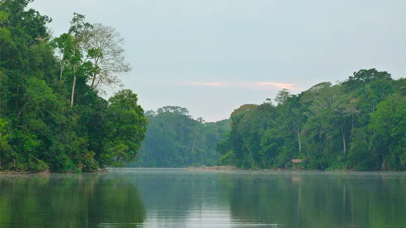 lake salvador