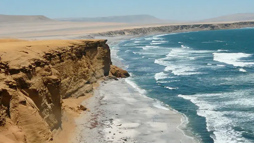 portrait paracas