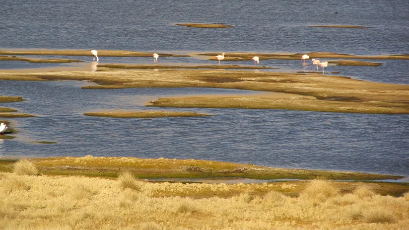 salinas and aguada blanca national reserve