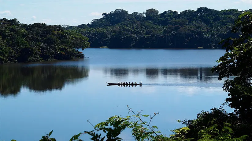 sandoval lake tambopata national reserve