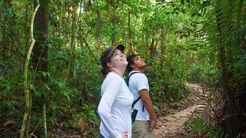 tambopata national reserve walking