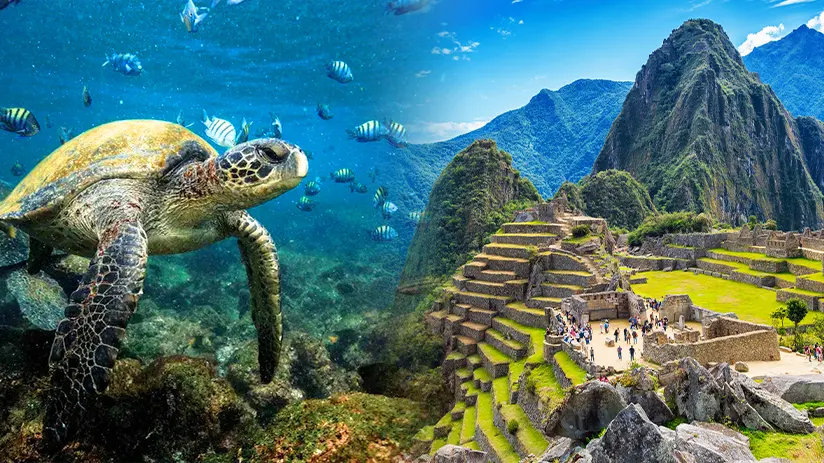 Machu Picchu and Galapagos Tour