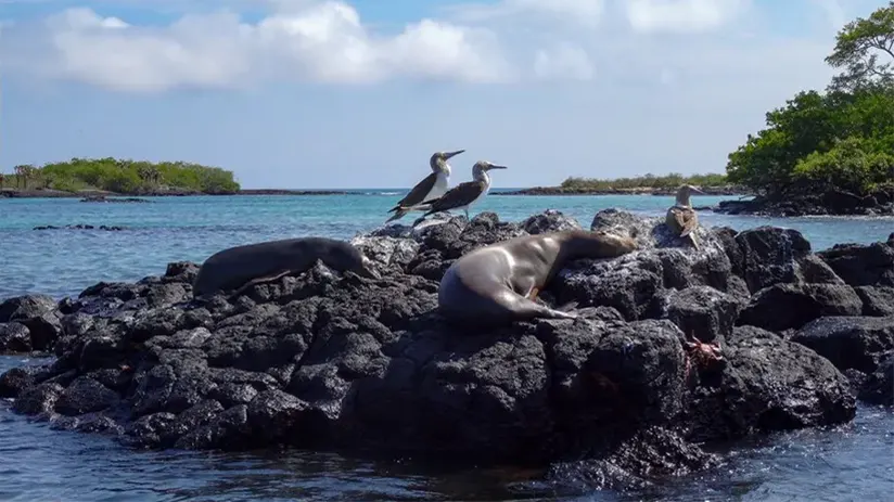 islands galapagos