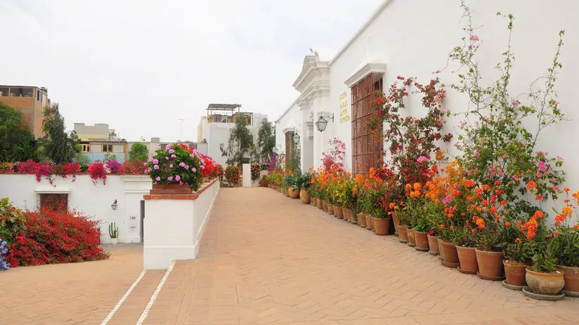 larco museum peru tourism