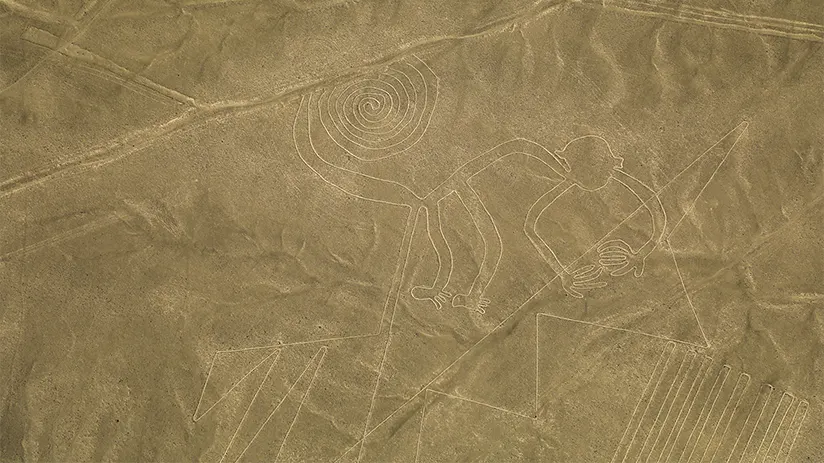 nazca lines mystery monkey