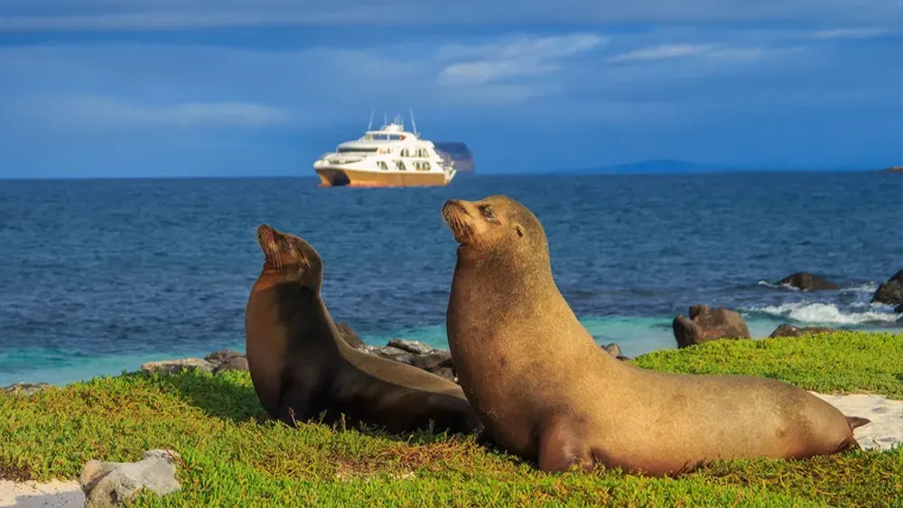 Galapagos Elite Luxury Catamaran